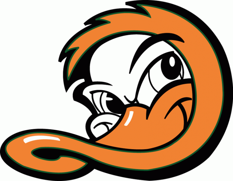 Long Island Ducks 2000-Pres Cap Logo iron on heat transfer